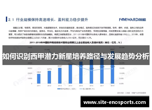 如何识别西甲潜力新星培养路径与发展趋势分析